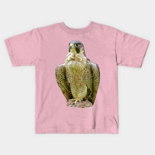 Peregrine falcon Kids T-Shirt